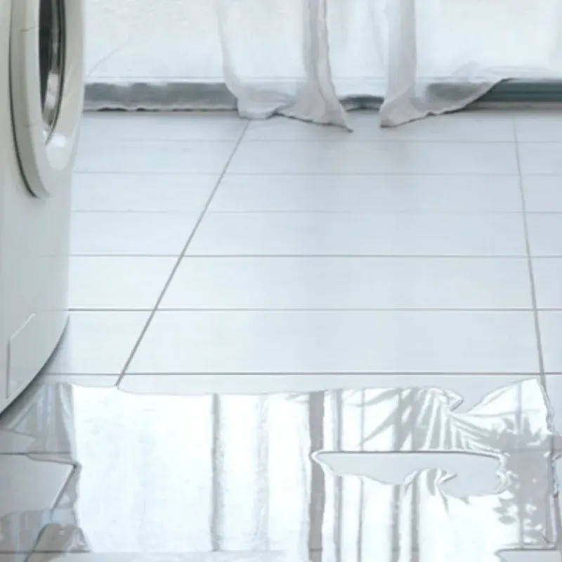 Appliance Leak Cleanup in Sevier County, TN