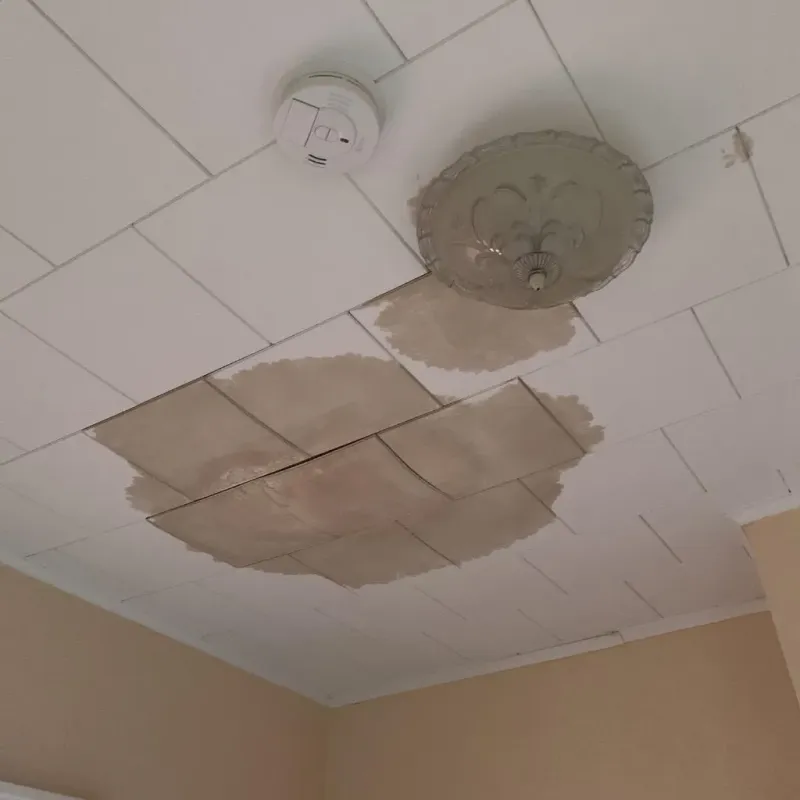 Ceiling Water Damage Repair in Sevier County, TN