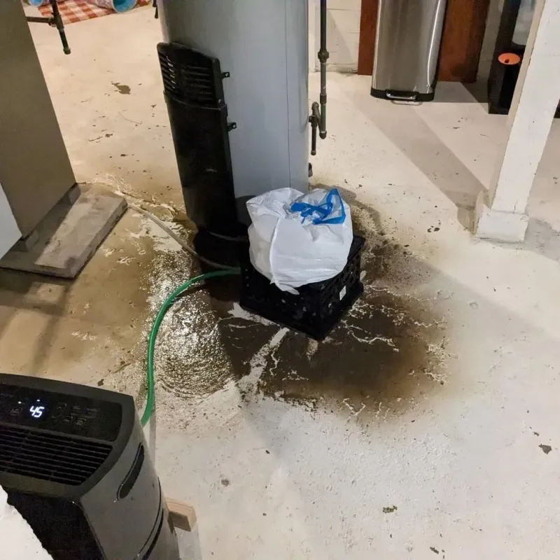 Sewage Backup Cleanup Service in Sevier County, TN